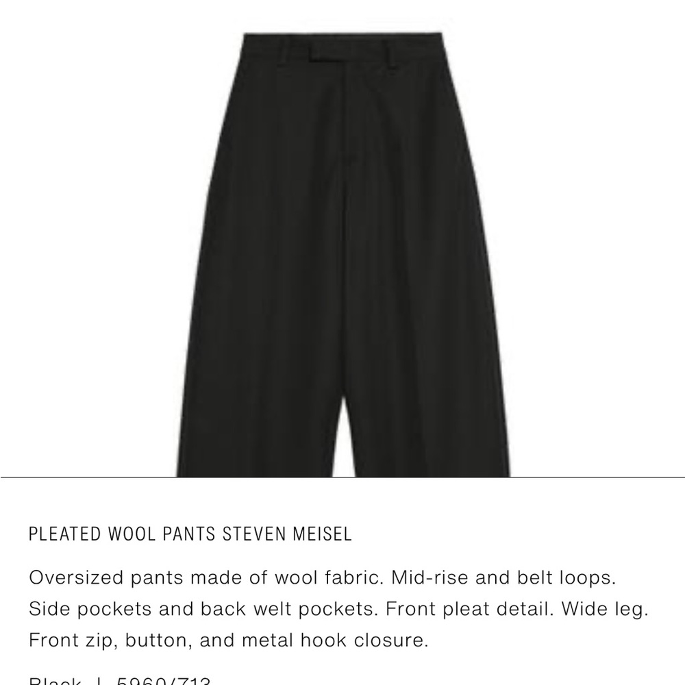 Zara Pleated Pants 100% Wool - Picture 2 of 5
